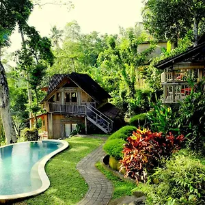 prashanti-bali.ubudhotelsnow.com/